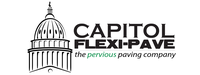 CAPITOL SOLUTIONS GROUP logo