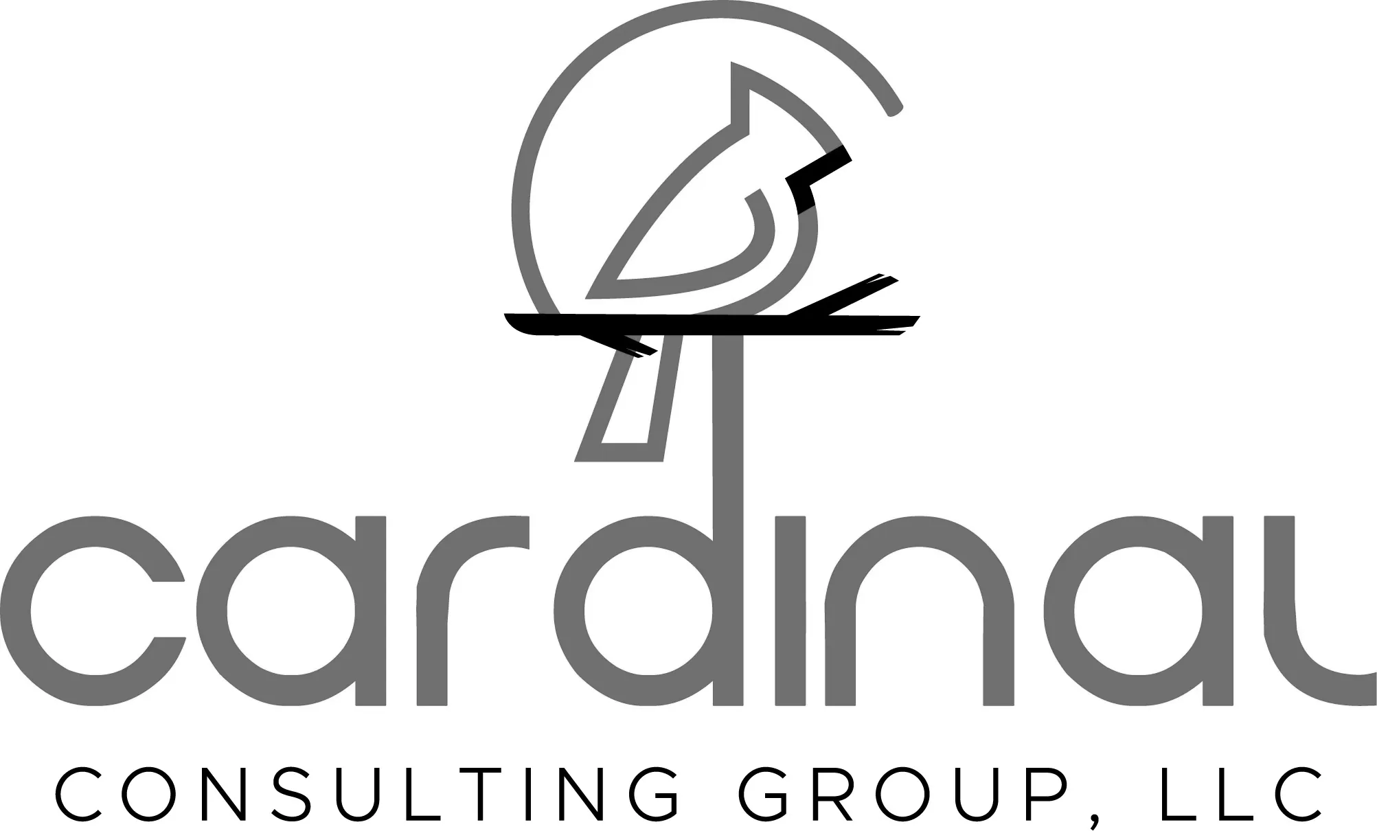 CARDINAL CONSULTING GROUP LLC logo