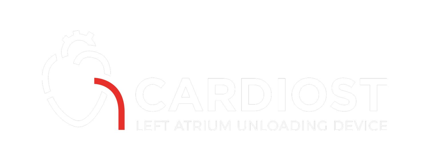 CARDIOST INC logo