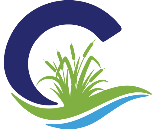 CARLEXSON CONSULTING LLC logo