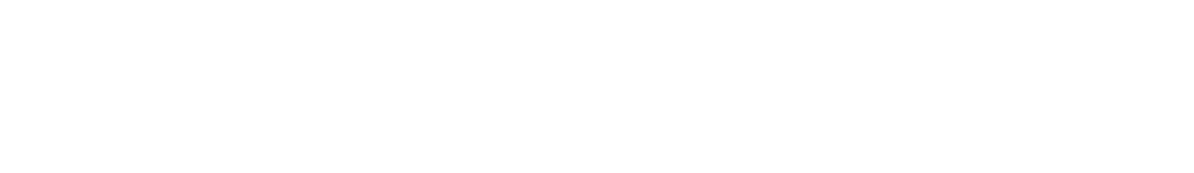 CARLOS ESTIMATING LLC logo