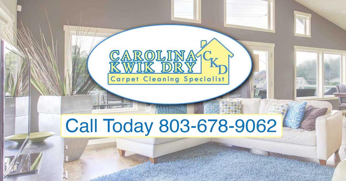 CAROLINA KWIK DRY LLC logo