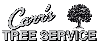 CARRS TREE SERVICE INC logo