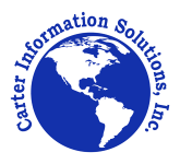 CARTER INFORMATION SOLUTIONS INC logo