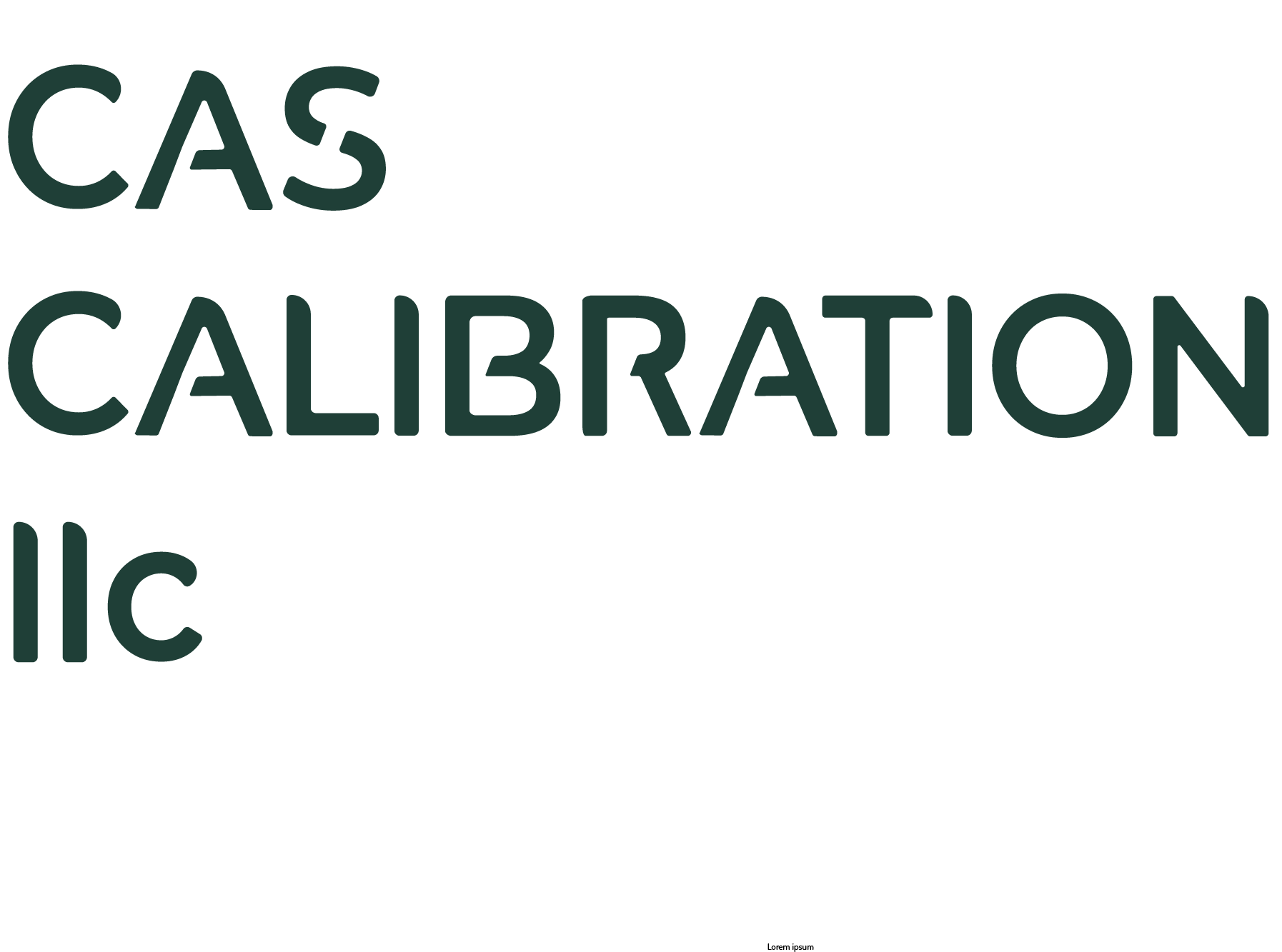 CAS CALIBRATION LLC logo