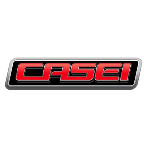 CASEI logo