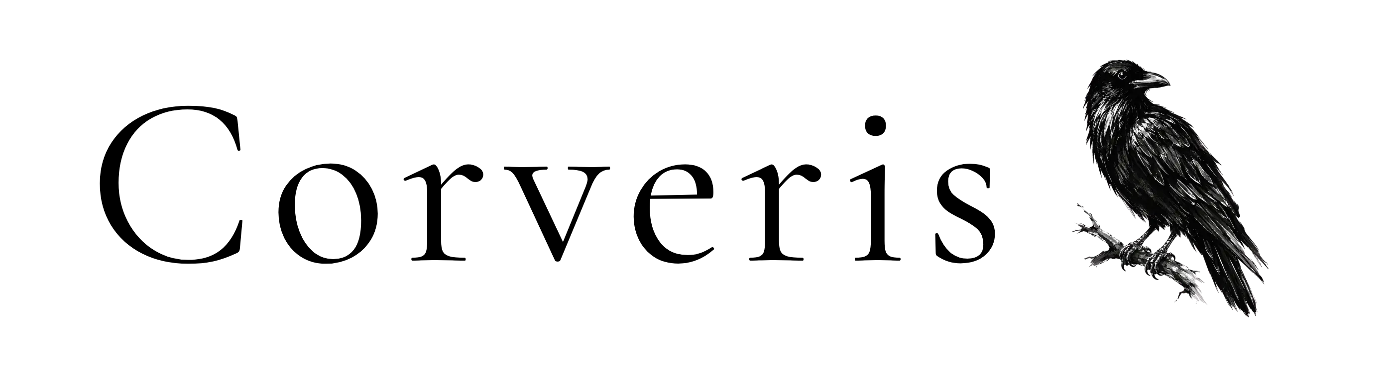 CASEX, INC logo