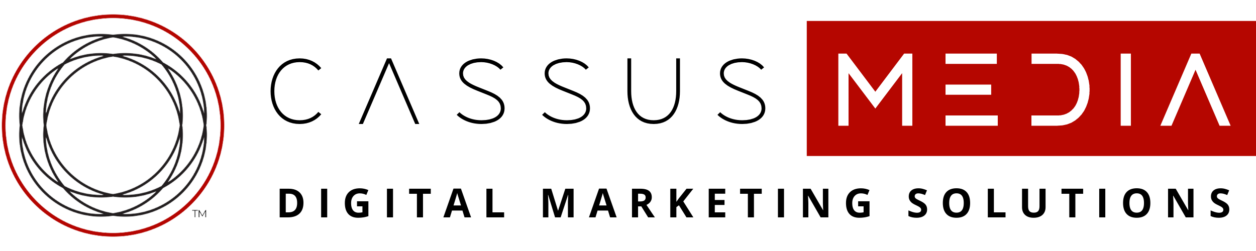 CASSUS MEDIA LLC logo