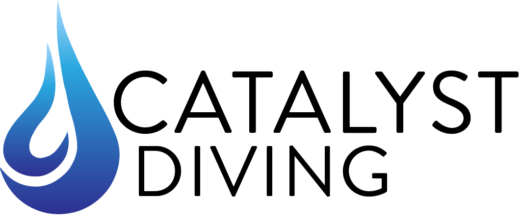CATALYST DIVING INC logo