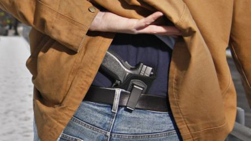 CATT FORCE LLC logo