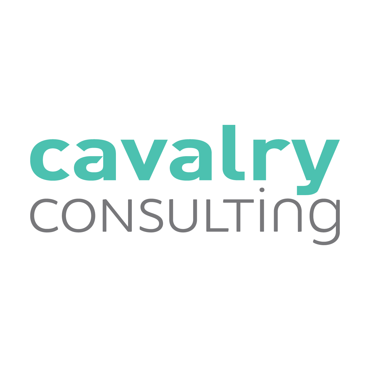 CAVALRY CONSULTING LLC logo