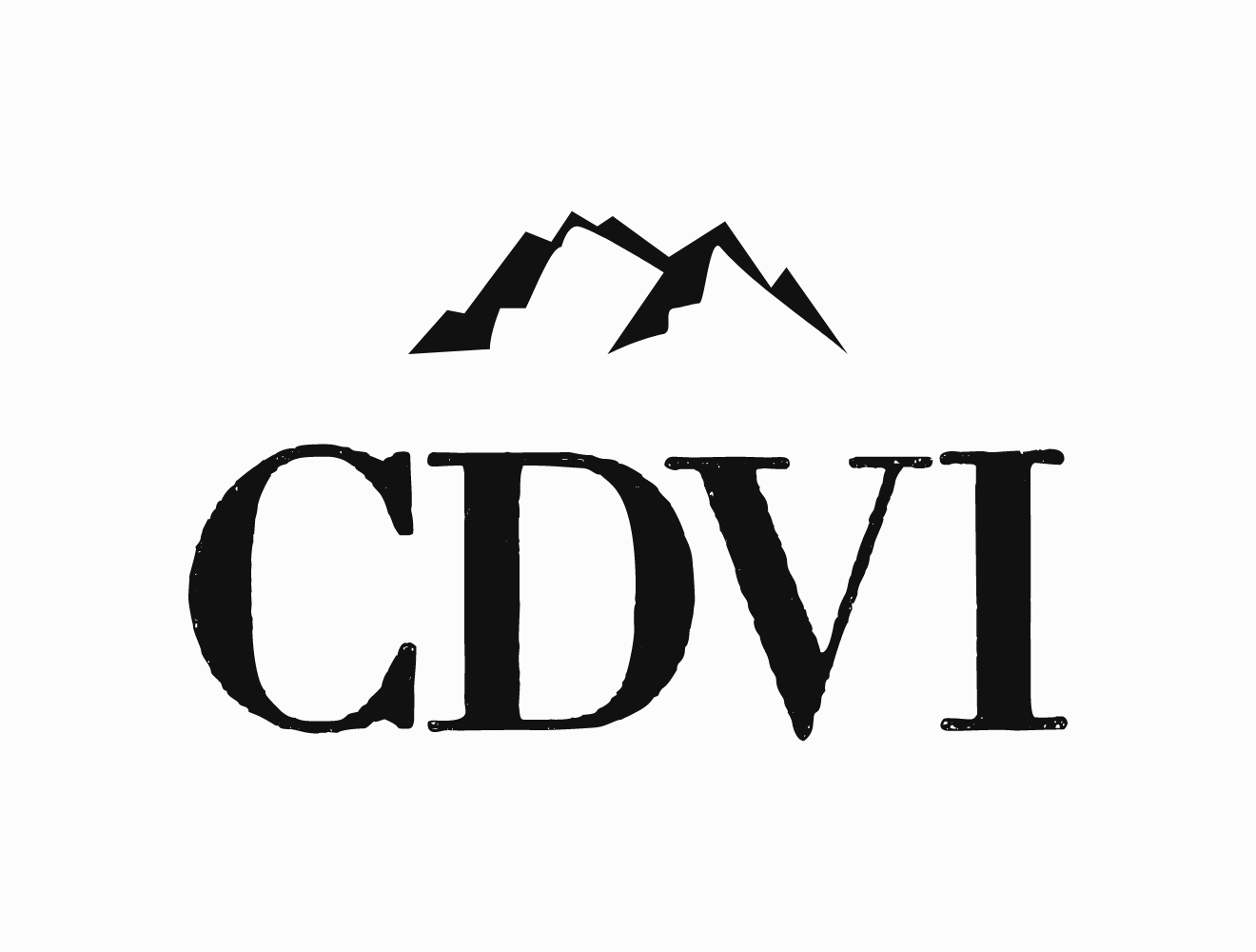 CDVI CONSULTING AND CONSTRUCTION LLC logo