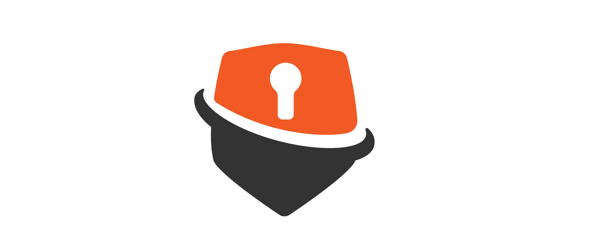 CECUREDATA LLC logo