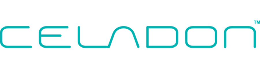 CELADON SYSTEMS INC logo