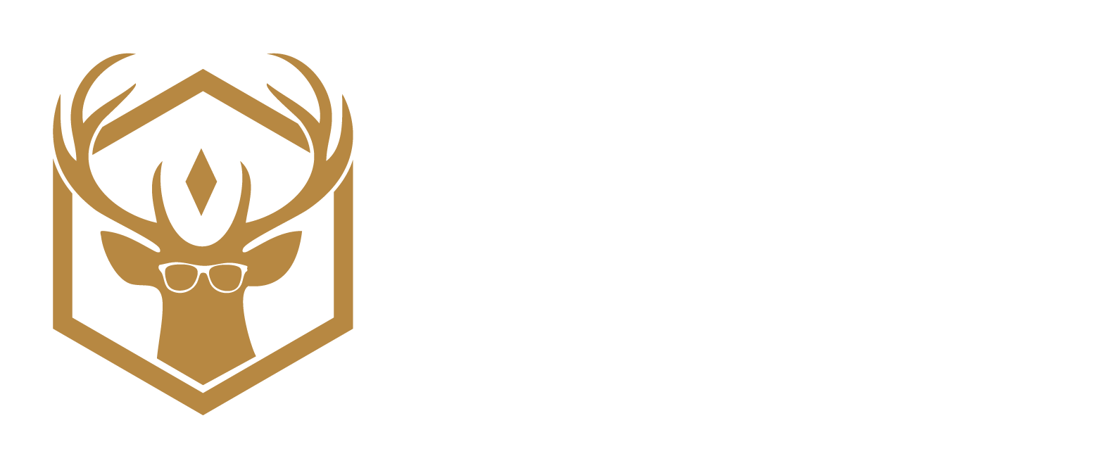 CENTER STREET I.T. logo
