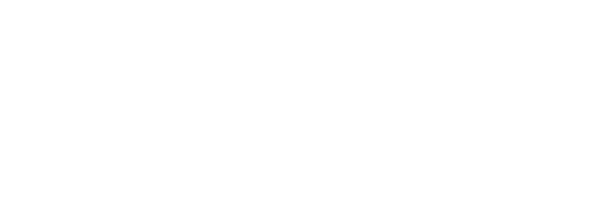 CENTERLINE ENGINEERED SOLUTIONS, INC logo