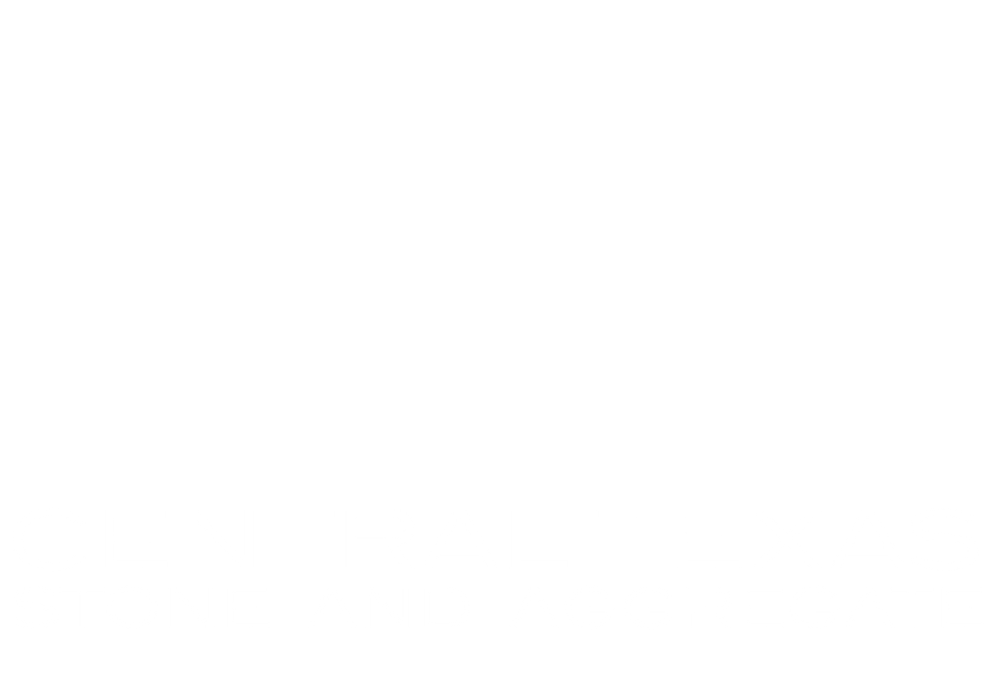 CENTRAL TEXAS STONE & AGGREGATE LLC logo