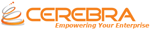 CEREBRA CONSULTING INC logo