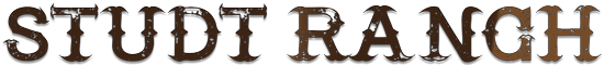 CHACON SHEEP CO LLC logo