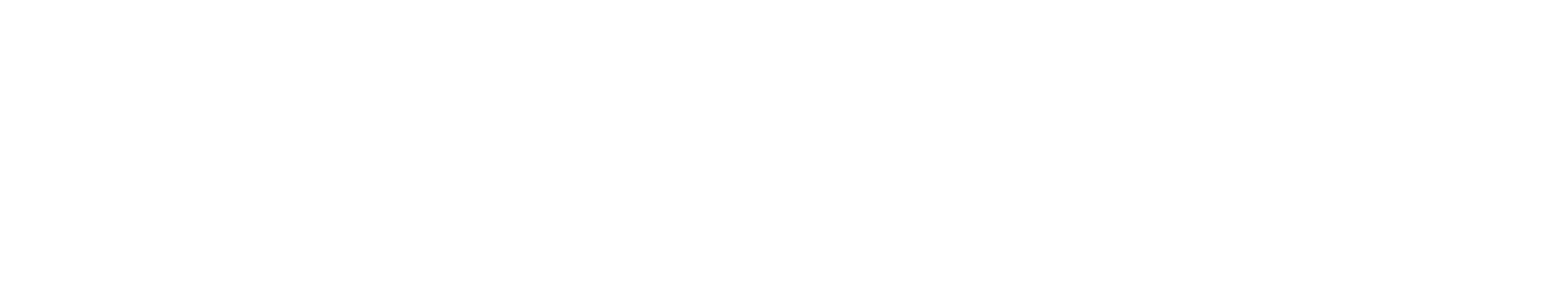 CHALLENGER SPORTS CORP logo