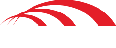 CHAMPION ENVIRONMENTAL SERVICES logo