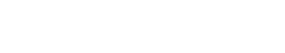 CHARLES FINANCIAL STRATEGIES LLC logo