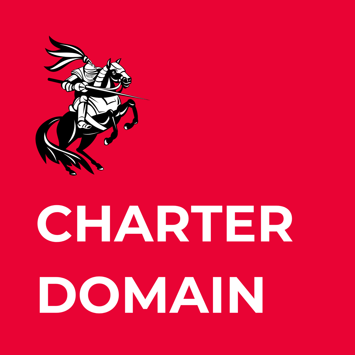 CHARTER DOMAIN LLC logo