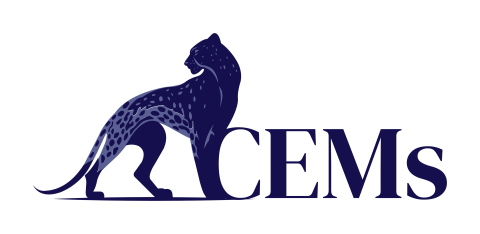 CHEETAH EMERGENCY MANAGEMENT SOLUTIONS, LLC logo