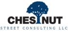 CHESTNUT STREET CONSULTING LLC logo