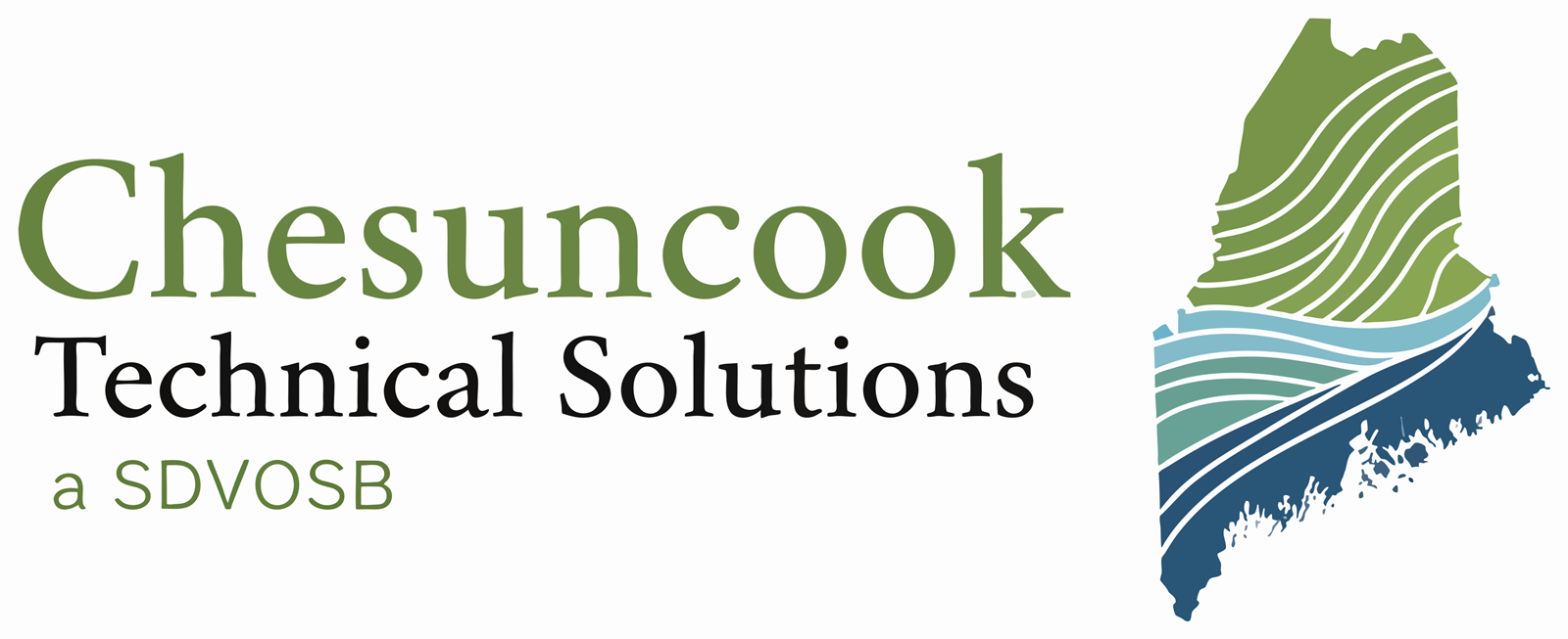 CHESUNCOOK TECHNICAL SOLUTIONS, LLC logo