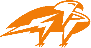 CRITICAL OBJECTIVES LLC logo