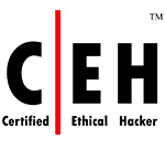 CYBERONE LLC logo