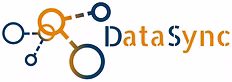 DATASYNC INC logo