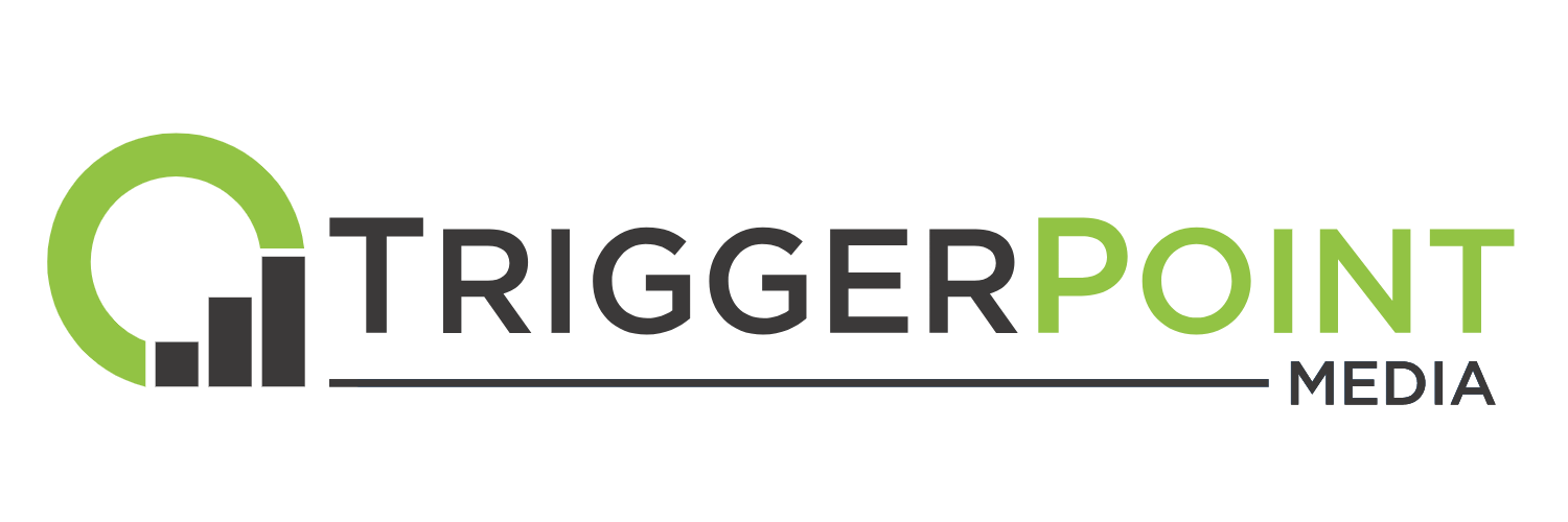 DIGITAL TOUCH SYSTEMS logo