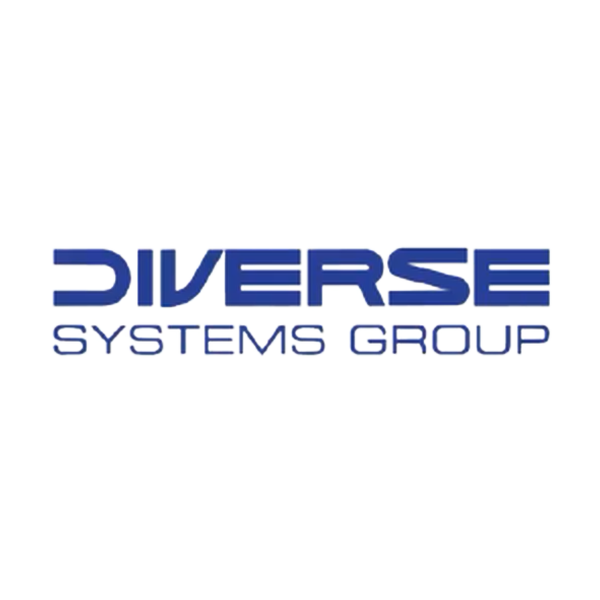 DIVERSE SYSTEMS GROUP, LLC logo