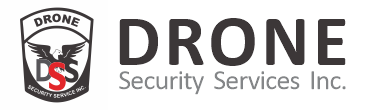 DRONE SECURITY SERVICE INC logo