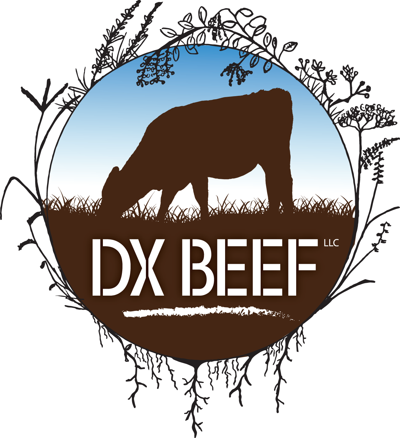 DX BEEF LLC logo