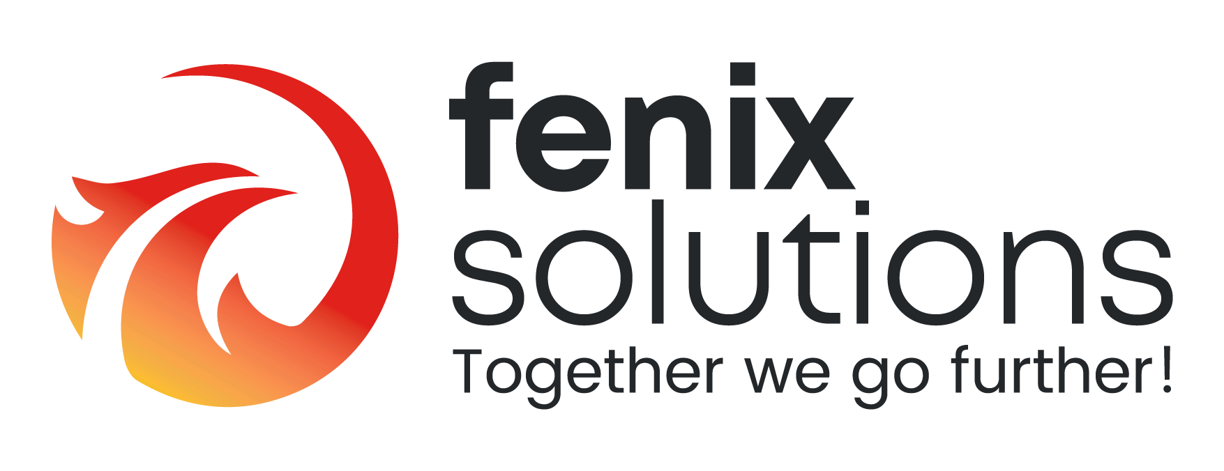 FENIX SOLUTIONS, LLC logo