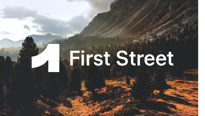 FIRST STREET TECHNOLOGY US, LLC logo