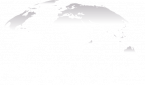 FLS INC logo
