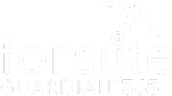 FORSYTE IT SOLUTIONS LLC logo
