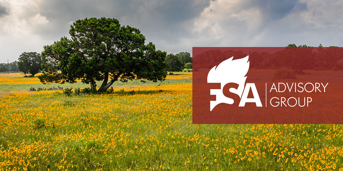 FSA ADVISORY GROUP LLC logo