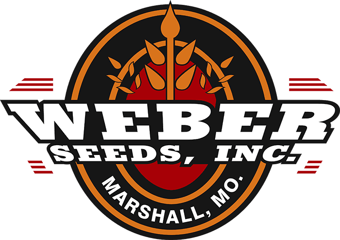 GEORGE DANIEL WEBER logo