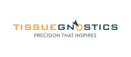 GLENCOE SOFTWARE INC logo