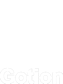 GOTION, INC logo