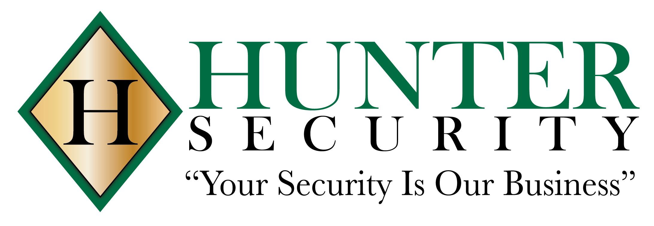 HUNTER SECURITY INC logo