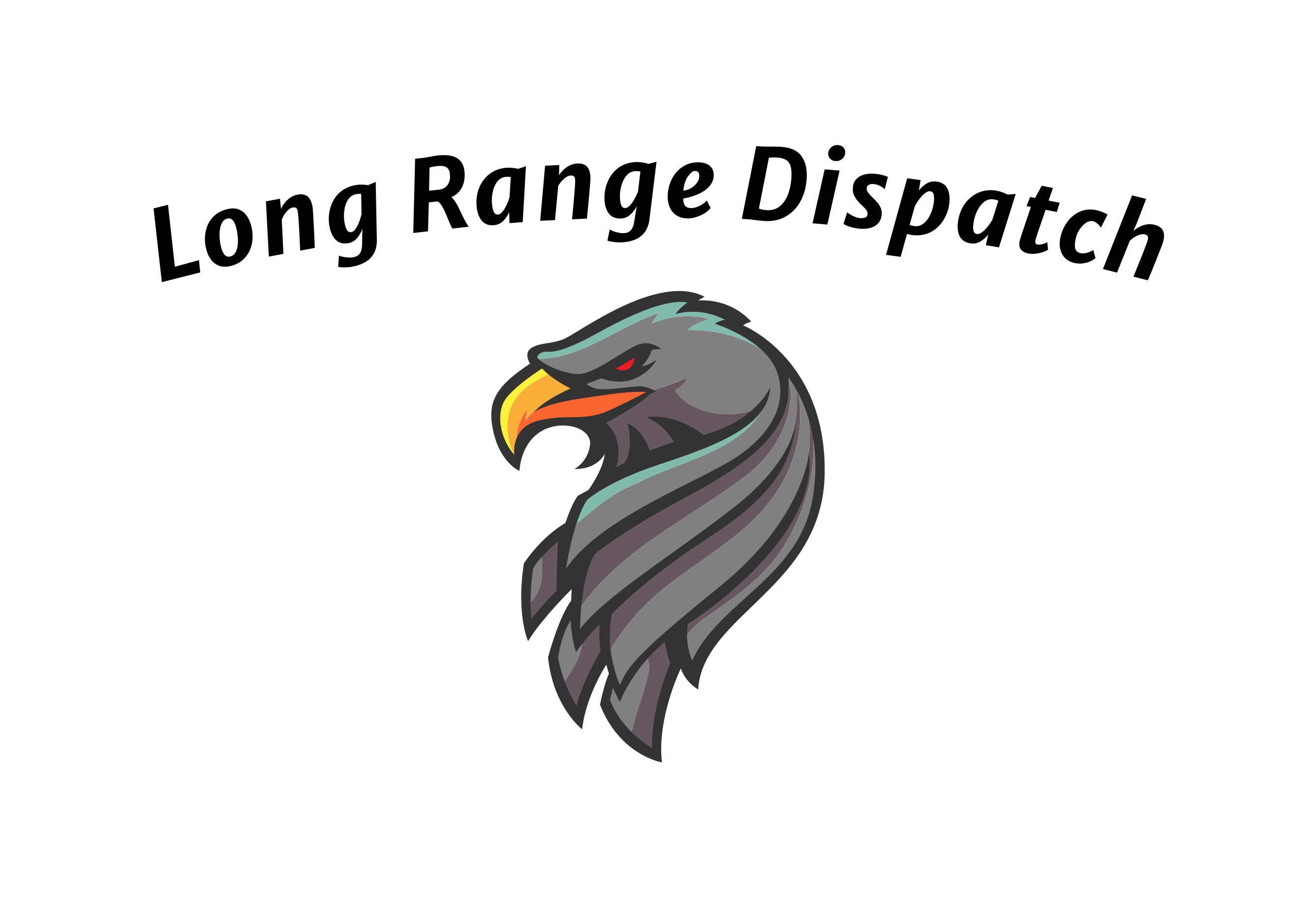 LONG RANGE DISPATCH LLC logo