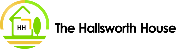 NASUN INC logo