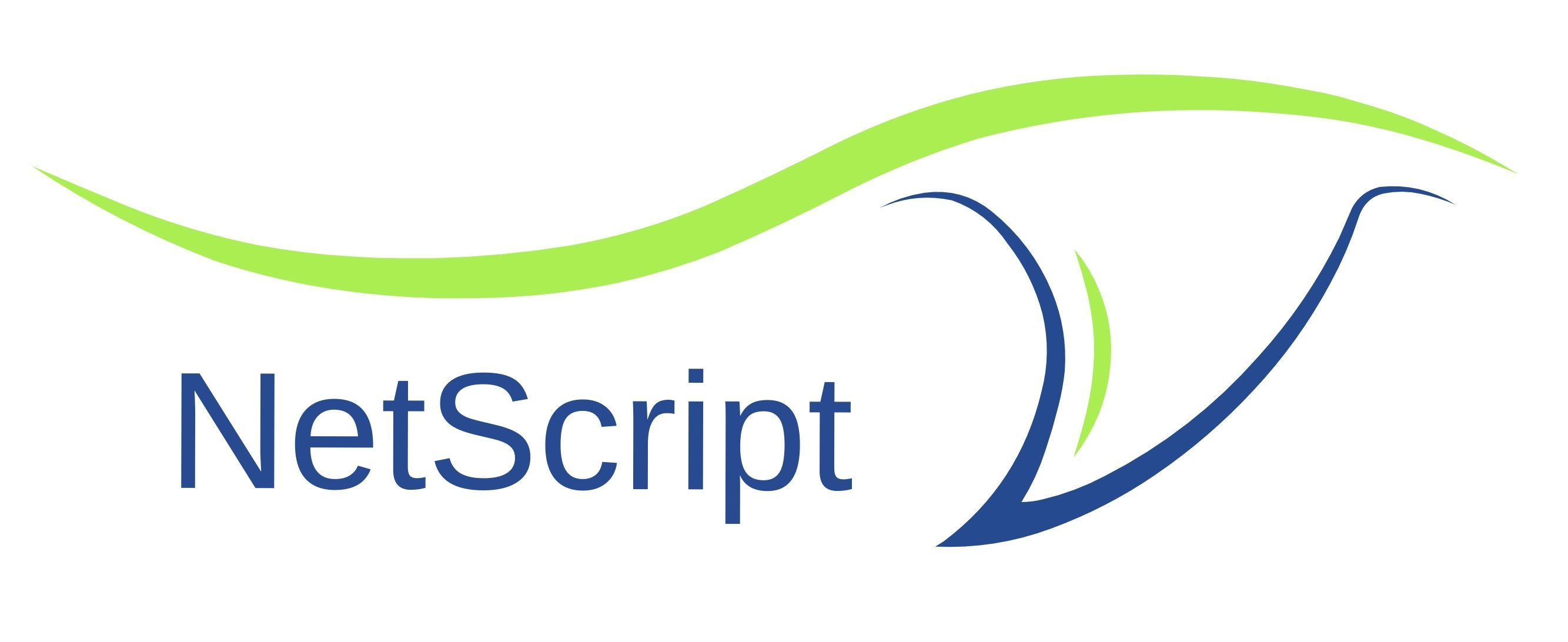 NETSCRIPT, INC. logo