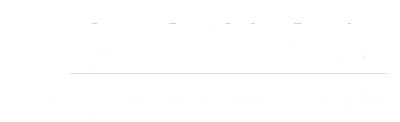 NETSMART CORP logo